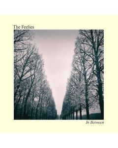 The Feelies - In Between CD