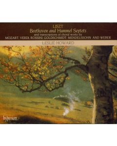 Franz Liszt (1811-1886) - Sämtliche Klavierwerke Vol.24 CD