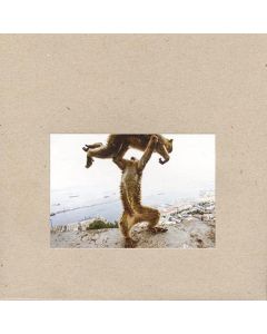 Shellac - Dude Incredible CD
