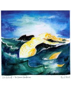 Jolie Holland - Pint Of Blood (LP + CD) LP