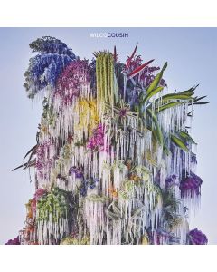 Wilco - Cousin CD