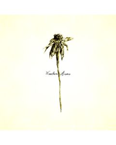 Patrick Watson - Wooden Arms CD