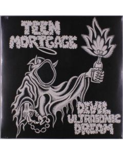 Teen Mortgage - Devil Ultrasonic Dream LP
