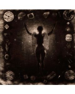 Ministry - Psalm 69 CD