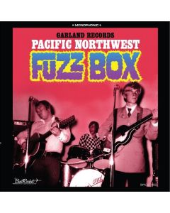 Pacific Northwest Fuzzbox CD