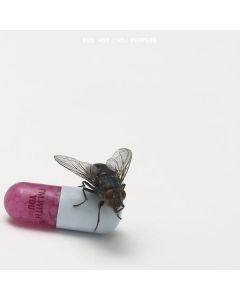Red Hot Chili Peppers - I'm With You (Digisleeve) CD