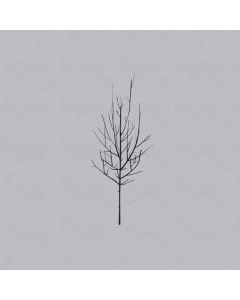Low - Ones And Sixes CD