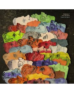 Calexico & Iron And Wine - Years To Burn CD