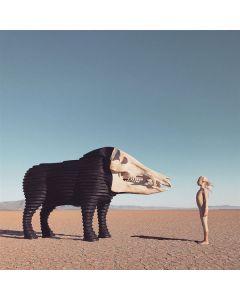 Man Man - Dream Hunting In The Valley Of The In-Between LP