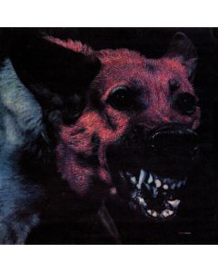 Protomartyr - Under Color Of Official Right CD
