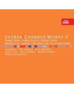 Antonin Dvorak (1841-1904) - Kammermusik Vol.2 CD