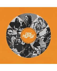 Drugdealer - Raw Honey CD