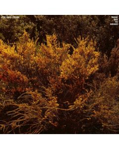 Jefre Cantu-Ledesma - Tracing Back The Radiance LP