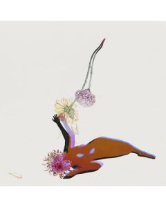 Future Islands - The Far Field CD