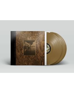 Pixies - Come On Pilgrim... It's Surfer Rosa (30th Anniversary Edition) (Gold Vinyl) LP