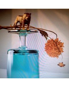 Beirut - Gallipoli CD