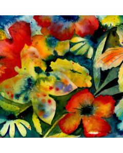 Adrianne Lenker - Songs And Instrumentals CD