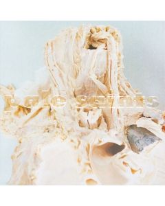 Pale Saints - In Ribbons (30th Anniversary) (remastered) LP