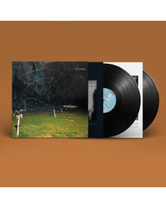 Yo La Tengo - This Stupid World LP