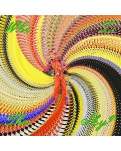 David Byrne - Who Is The Sky? CD