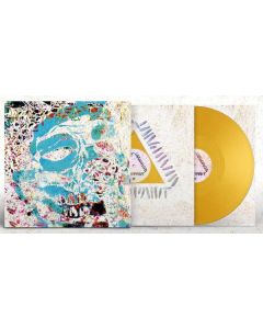 Warpaint - The Fool (Andrew Weatherall Remixes) (Limited Edition) LP