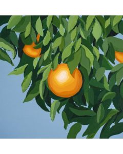 Tyler Ballgame - For The First Time Again CD