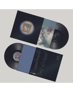 My New Band Believe - My New Band Believe LP