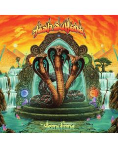 Tash Sultana - Terra Firma CD