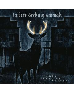 Pattern-Seeking Animals - Only Passing Through (180g) LP