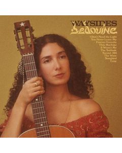 Bedouine - Waysides CD