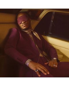 Future - I Never Liked You LP