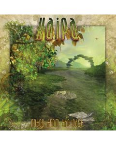 Kaipa - Notes From The Past (remastered) (180g) LP