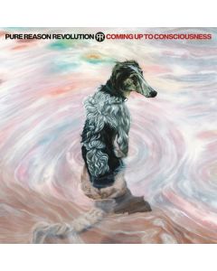Pure Reason Revolution - Coming Up To Consciousness (Limited Edition) (Colored ReVinyl) LP