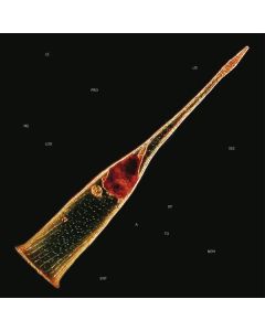 Leprous - Melodies Of Atonement (180g) LP