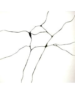 Eric Hilton & Natallia Clavier - Corazon Kintsugi LP