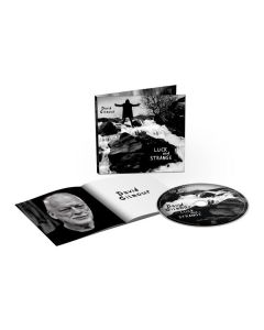 David Gilmour - Luck And Strange CD
