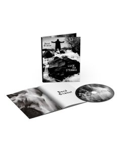 David Gilmour - Luck And Strange BRA