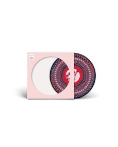 Take That - Everything Changes (30th Anniversary) (Zoetrope Picture Disc) LP