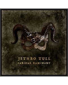 Jethro Tull - Curious Ruminant CD