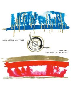 Asymmetric Universe - A Memory And What Came After CD