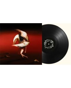 Maruja - Pain To Power LP