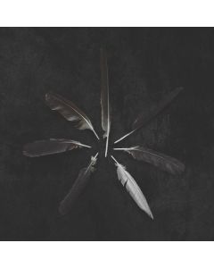 Caspian - Dust And Disquiet (White / Emerald Green Vinyl) LP