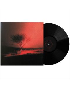 Joji - Piss In The Wind LP