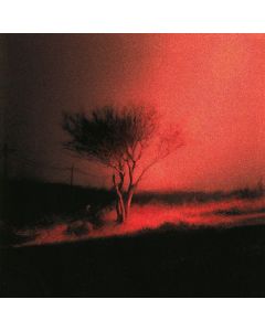Joji - Piss In The Wind CD