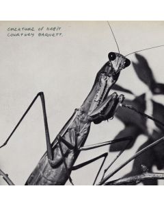 Courtney Barnett - Creature Of Habit CD