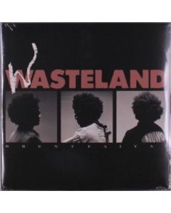 Brent Faiyaz - Wasteland LP