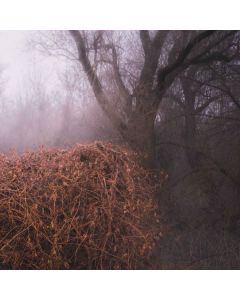 The Devil's Trade - Nincs Szennyezetlen Szép (Limited Edition) (Your Pieces Scattered Vinyl) LP