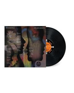 Irreversible Entanglements - Future Present Past LP