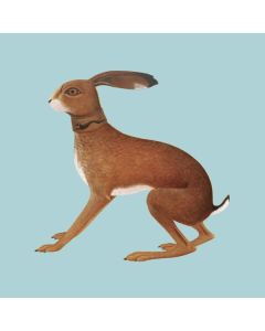 Vashti Bunyan - Lookaftering (20th Anniversary Edition) CD