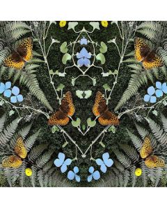 Jean-Michel Blais - Aubades LP